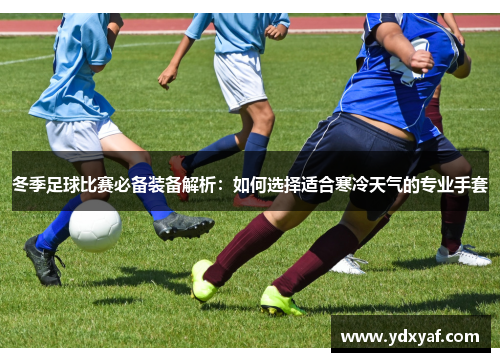 冬季足球比赛必备装备解析：如何选择适合寒冷天气的专业手套